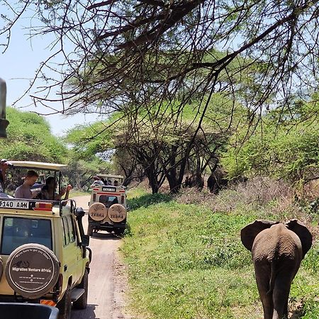 Safi House Bed & Breakfast Boma la Ngombe Bagian luar foto