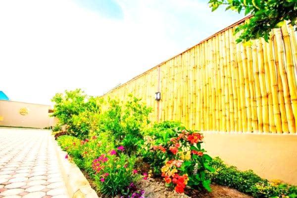Safi House Bed & Breakfast Boma la Ngombe Bagian luar foto